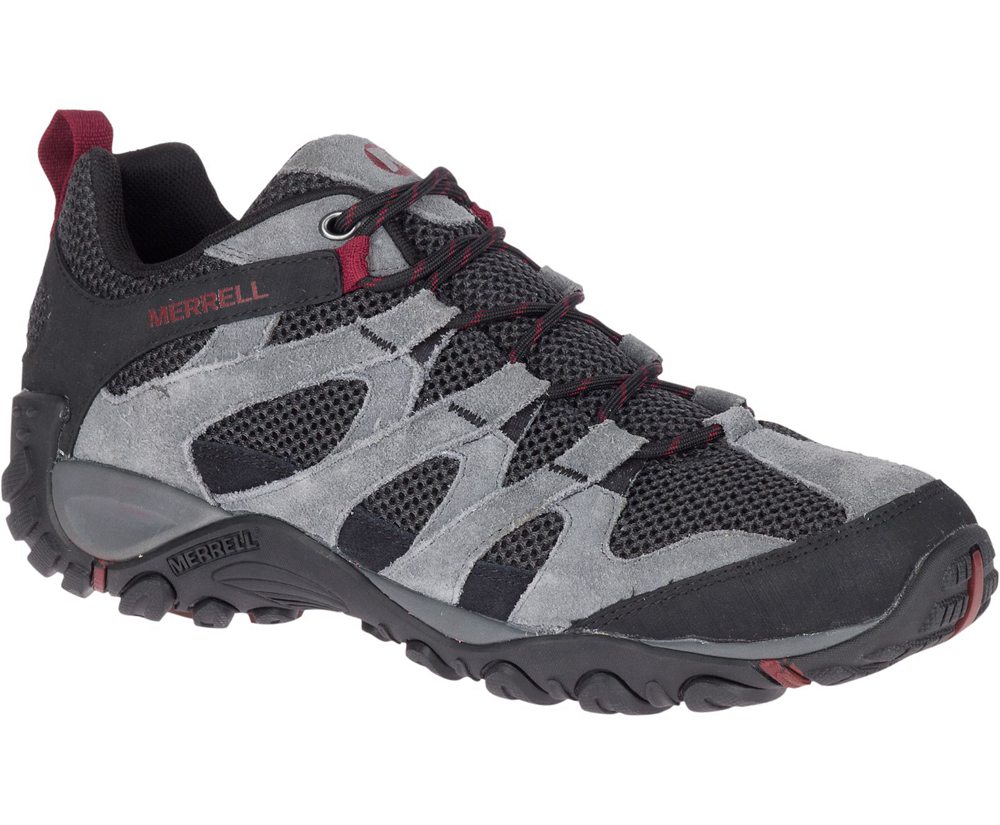 Merrell Intercept Castanho - Sapatos Sapatilhas Homem 116,04 €